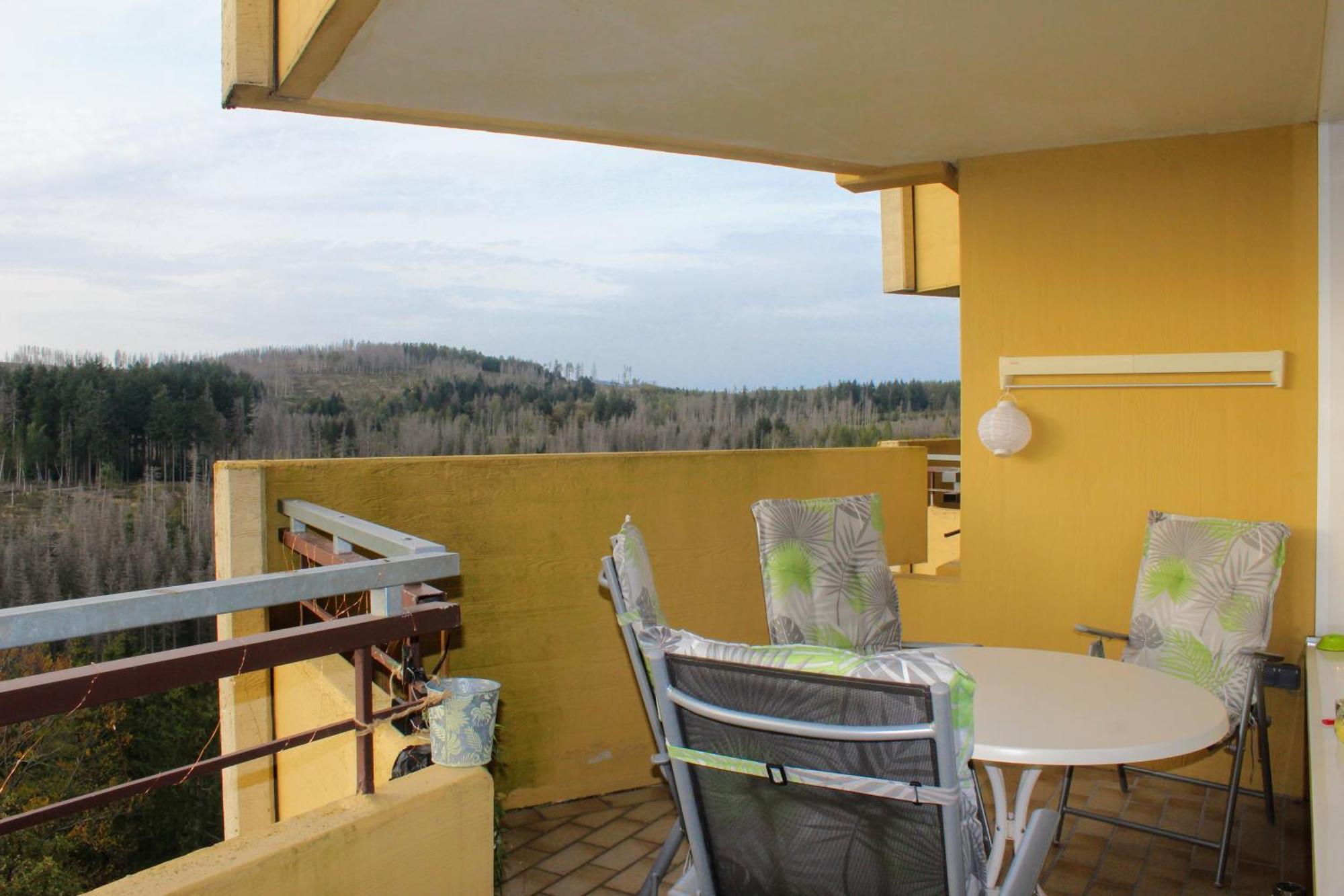 Apartment Ky481 Im Panoramic Hohegeiß Εξωτερικό φωτογραφία
